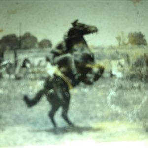 Meet your Posher, Danny